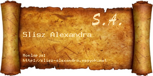 Slisz Alexandra névjegykártya